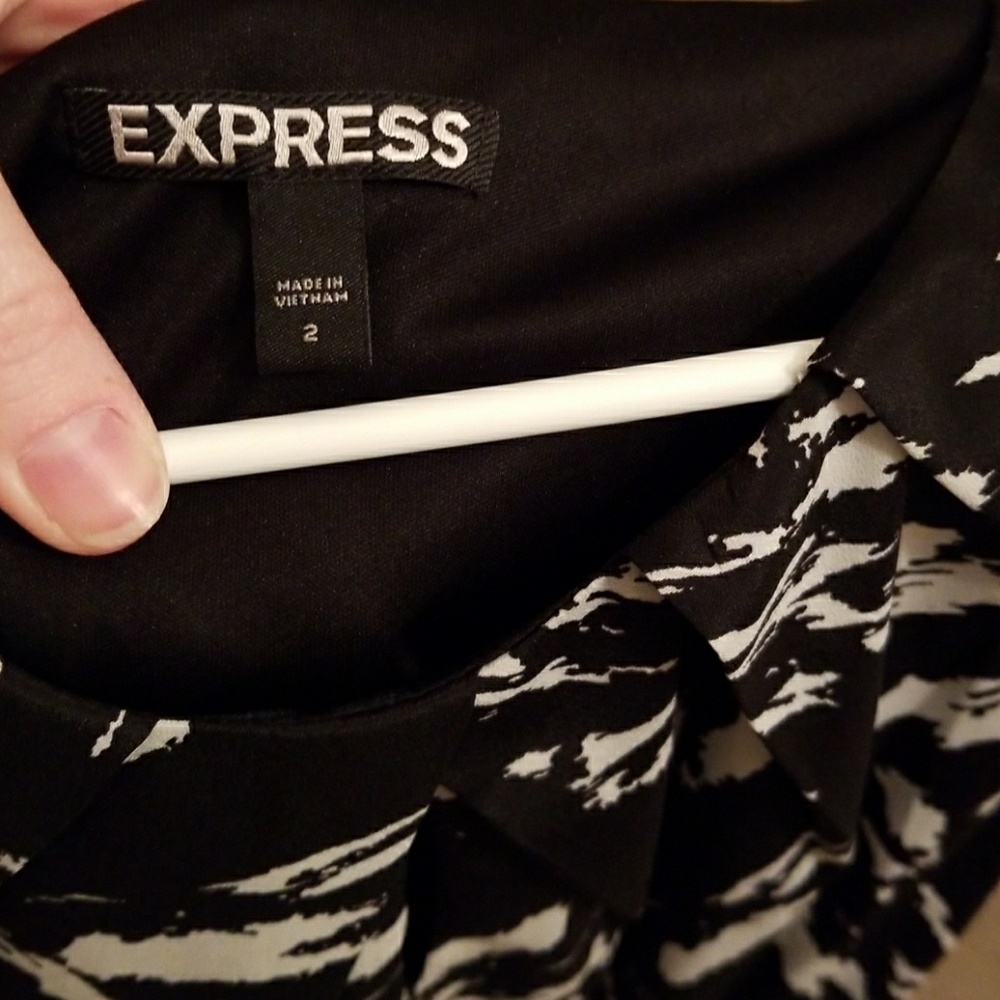 Express Dress - Picture 3 of 4
